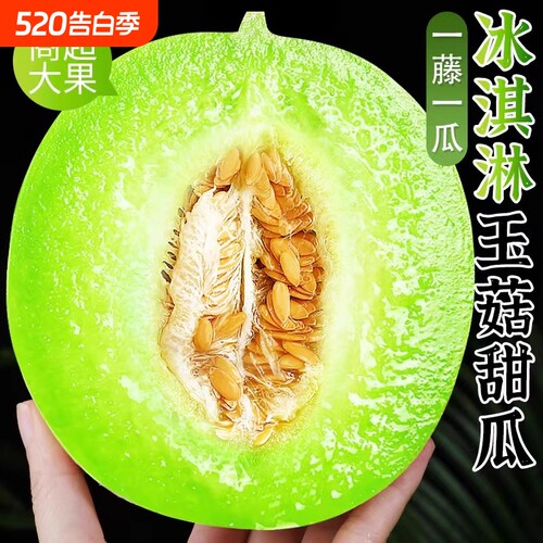 现摘玉菇甜瓜头茬冰淇淋甜瓜5斤正宗玉菇蜜瓜新鲜当季水果小香瓜