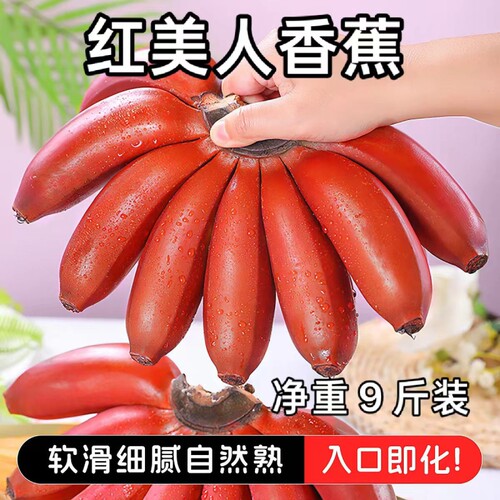 广西红美人香蕉自然熟9斤