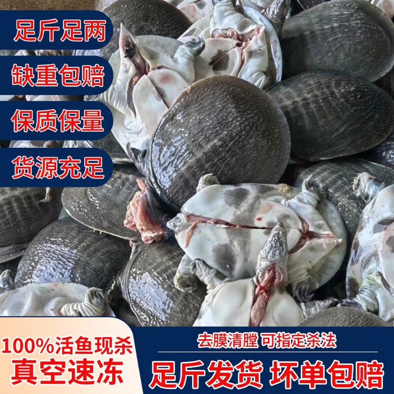 甲鱼杀后净重外塘鲜活宰杀大小老鳖滋补公母中华鳖食用麻辣冷冻图片