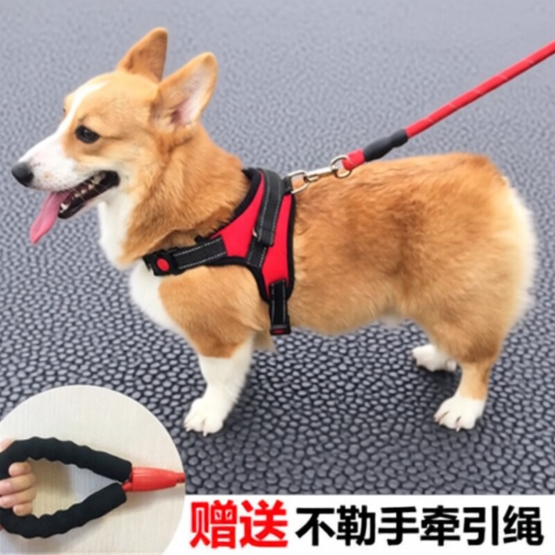 狗背带牵引绳背心式胸背带中型犬遛狗拉布拉多柯基小型犬大型犬