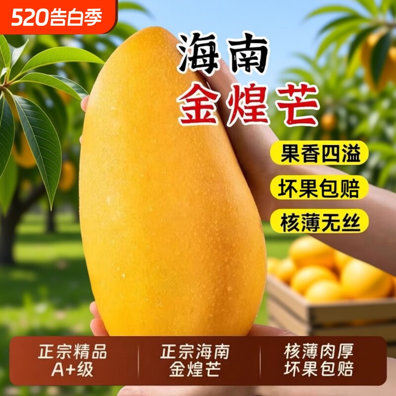 海南金煌芒果整箱9斤包邮新鲜现摘当季热带水果皮薄核小甜蜜多汁5