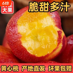 安徽砀山麻点油桃新鲜水果应季黄心油桃现摘脆甜蜜桃孕妇大果整箱