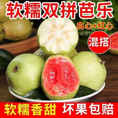 广东正宗红心芭乐番石榴软糯软心新鲜应季孕妇低糖类水果双拼自提
