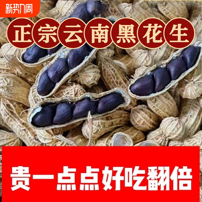 云南黑花生普洱2025晒干新货种带壳花生米七彩新鲜种子原味休闲