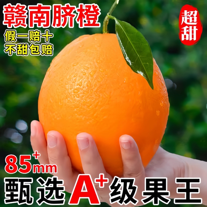 【平晏果园】正宗赣南应季脐橙江西甜橙薄皮橙子当季新鲜孕妇水果