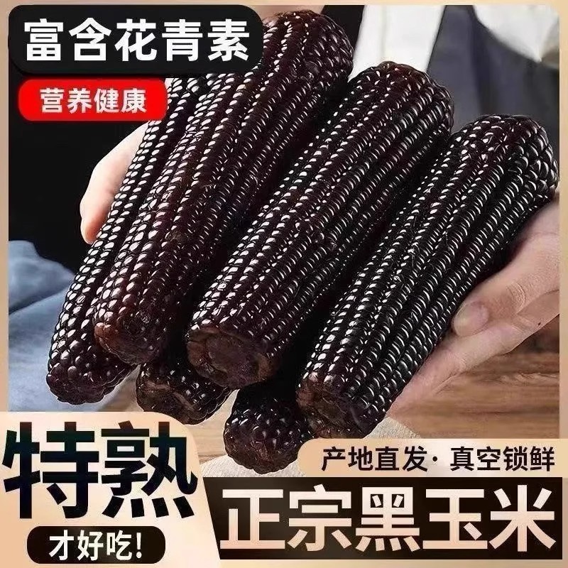 东北黑糯鲜玉米颗粒真空装低脂轻食早餐粗粮健康花青素香糯年货