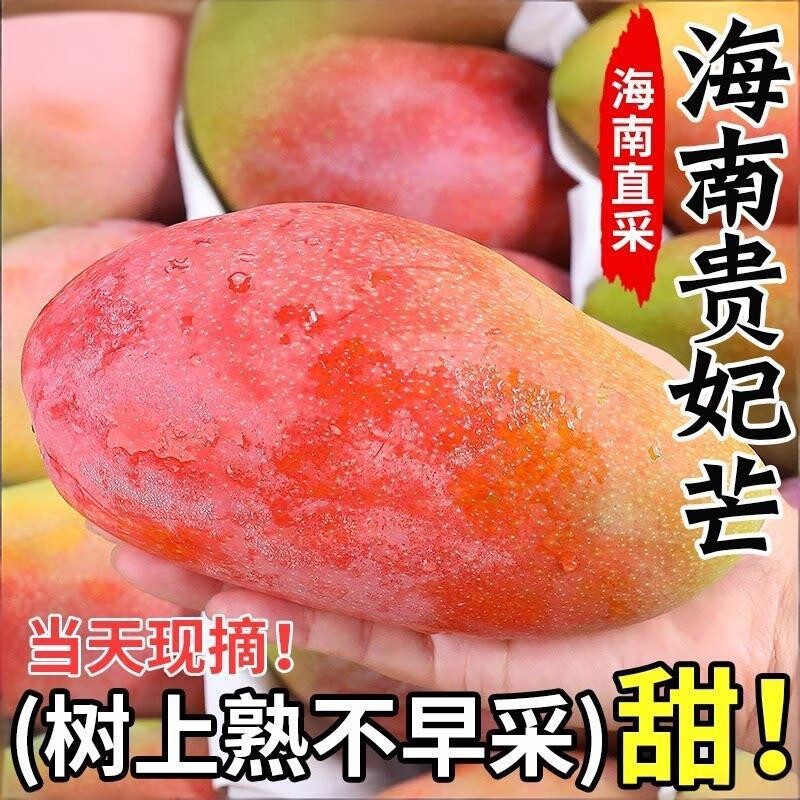 现货海南贵妃芒果树上熟芒果新鲜水果大果当季整箱现摘辣椒