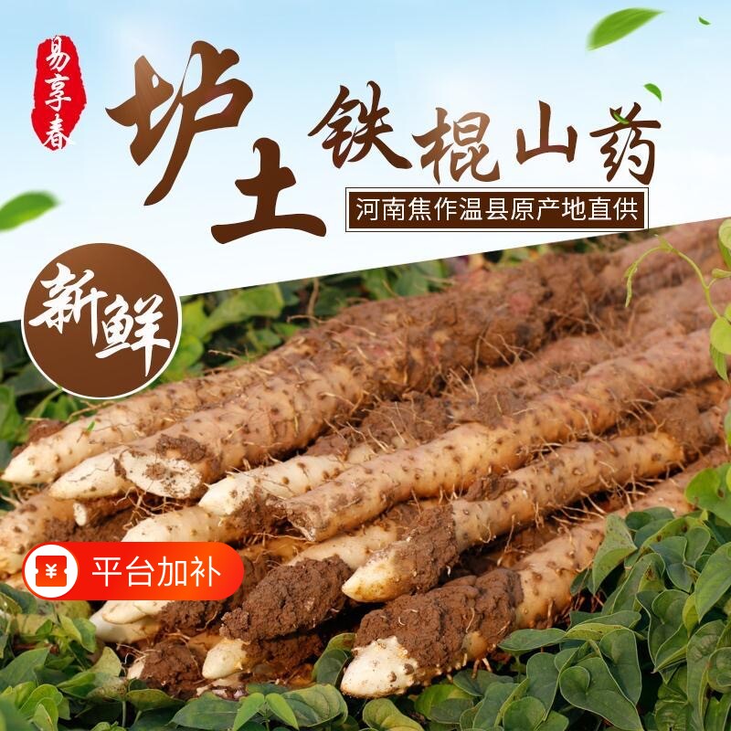 铁棍山药正宗怀山药河南焦作温县铁棍山药新鲜淮山药新货红皮现挖