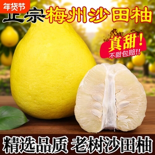 包甜不酸正宗梅州沙田柚柚子广东金柚白心肉现摘当季孕妇新鲜水果