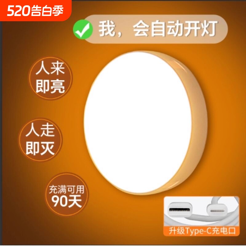人体感应灯人来即亮人走即灭充电小夜灯插电款磁吸楼梯大容量衣柜