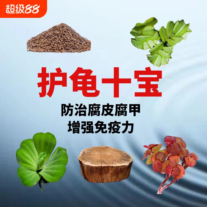 龙眼木乌龟缸装饰|超2000次加购图片