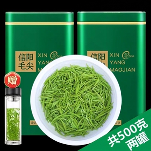 信阳毛尖2025新茶叶雨前特级嫩芽浓香型绿茶散装一斤好喝礼盒罐装