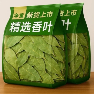 广西香叶片个大色绿月桂叶去腥解腻提味增香500g香辛料调味料批发