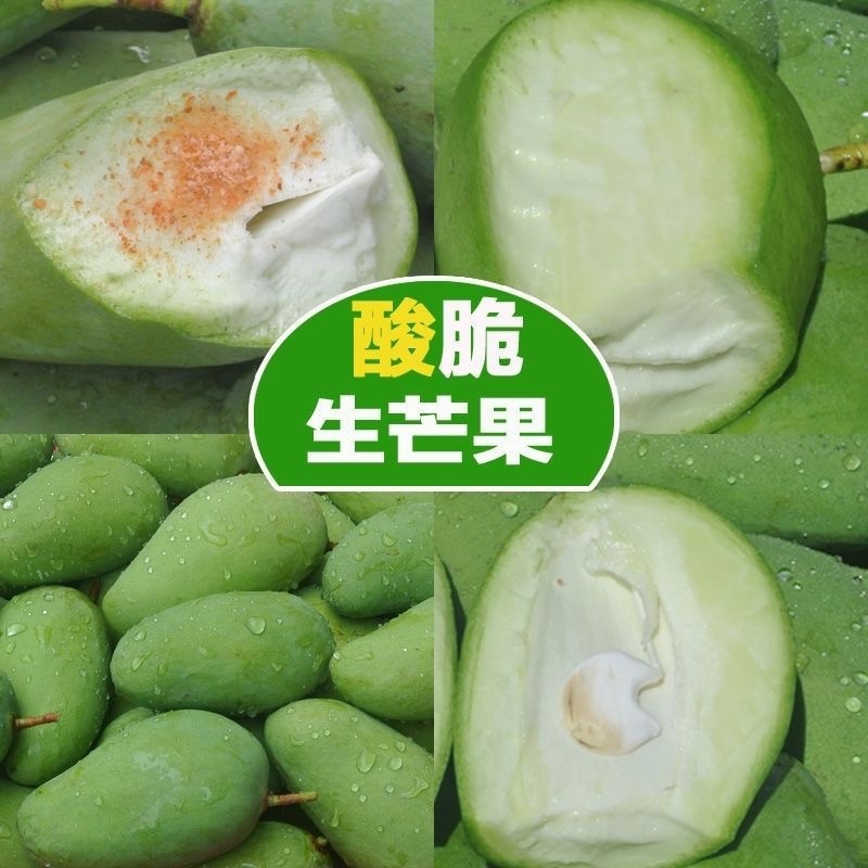 现摘酸芒果1斤/5斤大果生芒果酸脆爽口广西酸嘢青芒果象牙四季芒