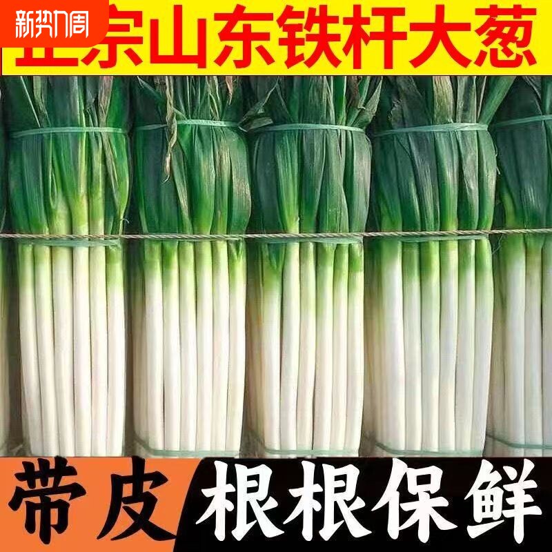 正宗铁杆蔬菜大葱新鲜现挖实惠脆甜微辣农家健康家庭必备新鲜包邮