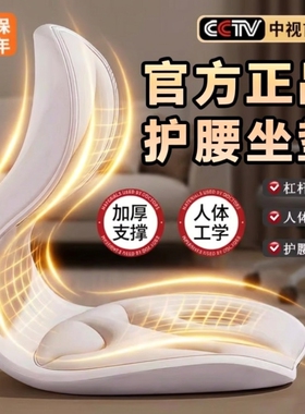 人体工学靠背护腰坐垫腰椎座垫椅子办公室久坐腰部按摩器座椅坐姿