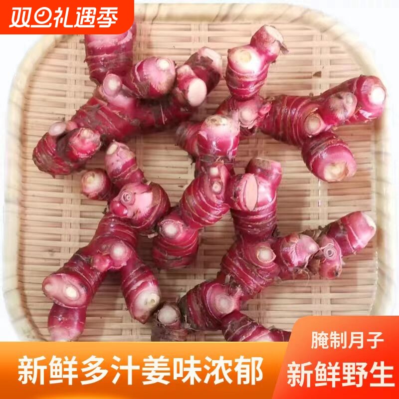 正宗潮汕南姜新鲜山姜良姜红皮白现挖生姜南姜新鲜南姜三年老南姜