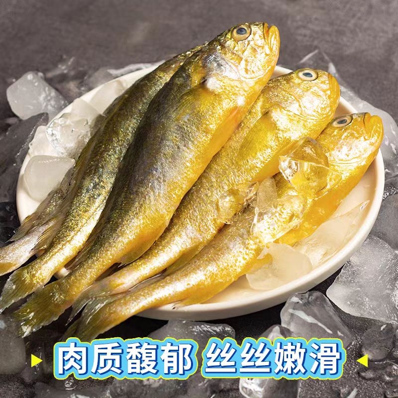 小黄花鱼新鲜海捕鲜活冷冻小黄鱼2斤5斤深海鱼海鲜水产商用批发