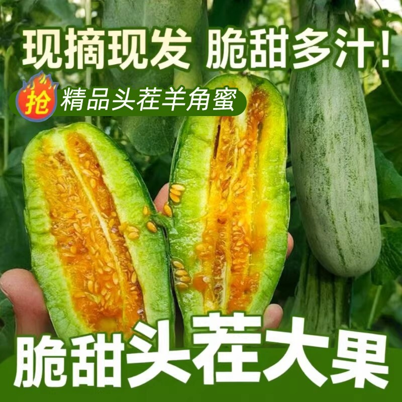 �����������ϴ�������ˮ��ͷ����ժ�����ٺóԵĴ����Ʒ��ժ 1�� ͷ����ժ��A+����Ʒ�����������óԣ� 9.9Ԫ