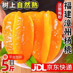 【顺丰京东】下河杨桃新鲜老树彩箱礼盒新鲜孕妇水果大果纯甜多汁