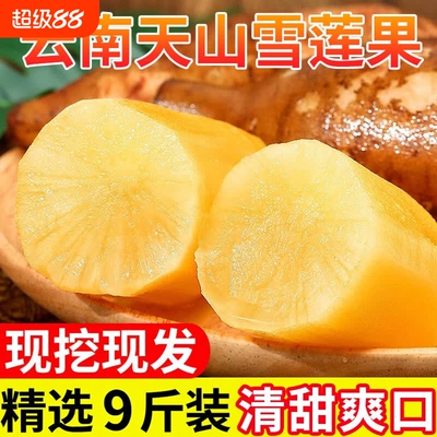 正宗云南天山雪莲果高原脆甜雪中仙果当季新鲜水果9斤包邮