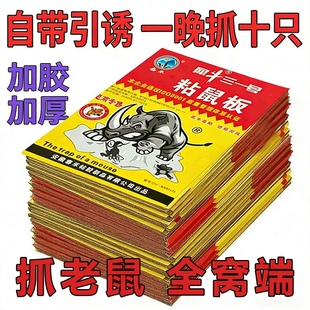 老鼠贴强力粘鼠板超强力粘大老鼠家用捕鼠抓鼠神器老鼠板沾胶之虎