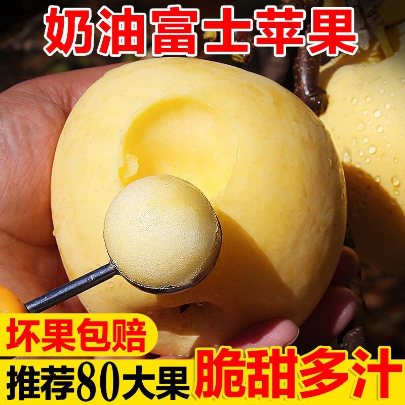 黄金奶油富士苹果水果牛奶山东烟台当季嘎啦苹果栖霞平果脆甜新鲜