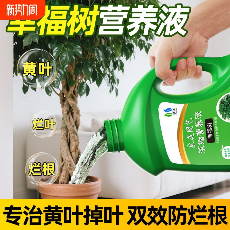 幸福树专用营养液肥料专治叶子干枯落叶阳台绿植盆栽通用型液体肥