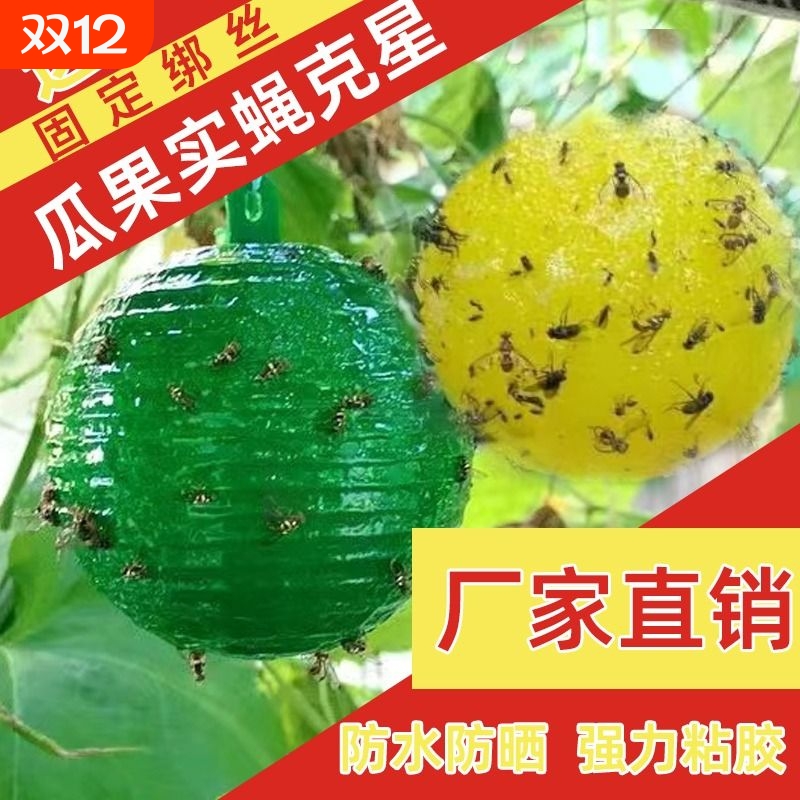果蝇粘虫球诱蝇球|255人收藏