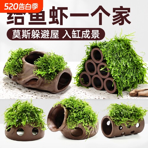 紫砂虾屋躲避屋水草植物鱼缸造景莫斯装饰水榕懒人真草鱼虾水质