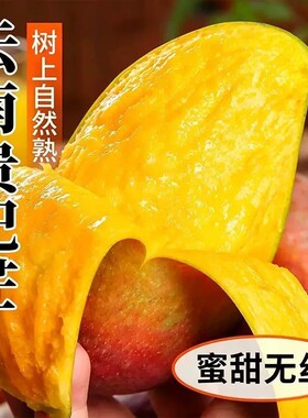 云南元江正宗小金凤芒果金凤凰芒当季新鲜整箱贵妃普通盒包装优选