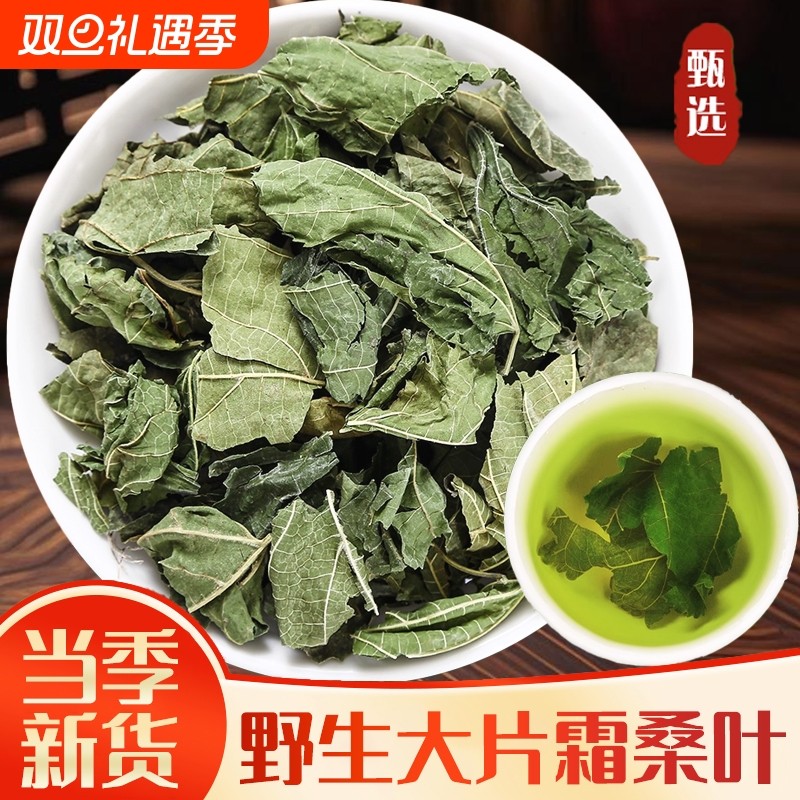 野生霜后桑叶中药材正品深山新鲜干货霜桑树叶霜打老桑叶茶泡水喝