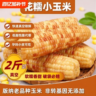 低脂云南特产西双版纳香糯小玉米新鲜小花糯包谷玉米棒非转基因