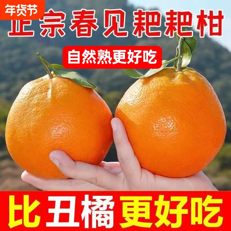 四川春见耙耙柑粑粑柑现摘丑桔当季新鲜水果特大果无籽果园年货节,水产肉类/新鲜蔬果/熟食,桔子,淘宝优惠券,粉丝福利购,淘宝优惠卷