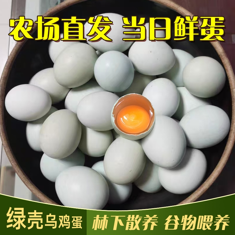 绿壳乌鸡蛋营养价值高现捡现发