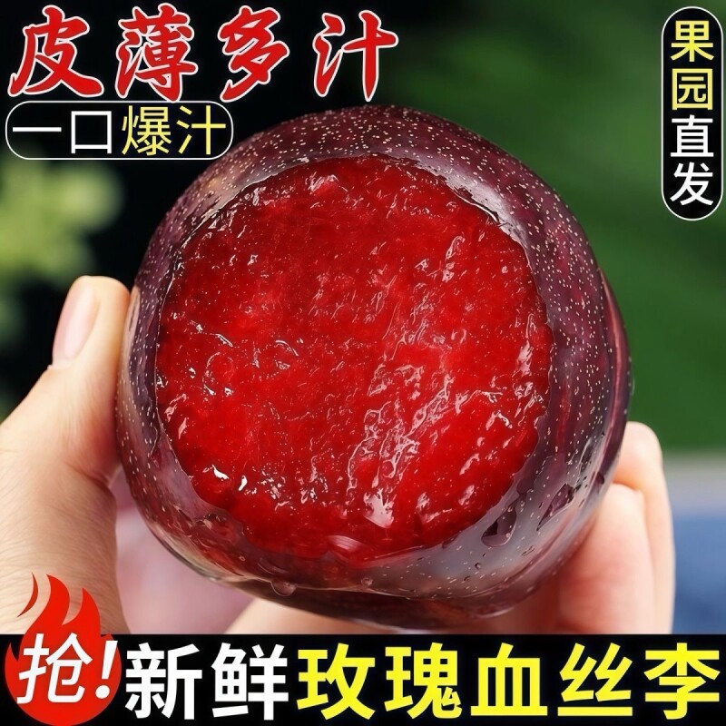 玫瑰血丝李新鲜李子5斤大果应当季现摘红心李子黑布林红肉恐龙蛋