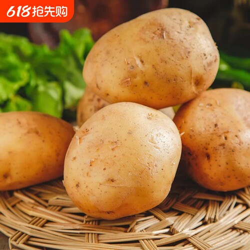 贵州特产威宁黄心洋芋土豆