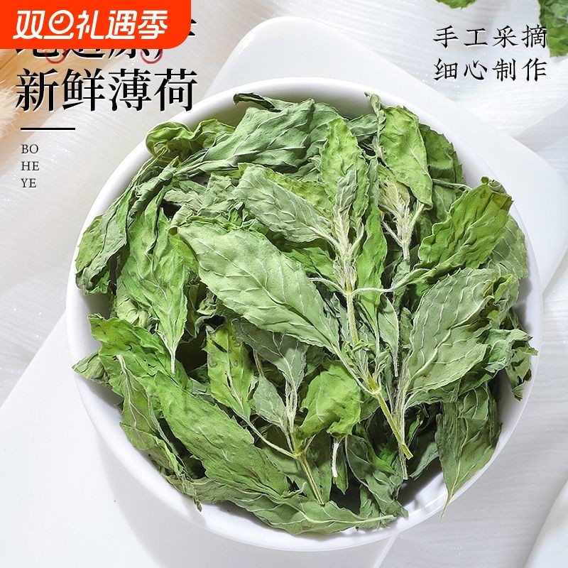 梦之巅 薄荷叶茶精选干薄荷茶薄荷叶片新鲜可食用泡水喝500g袋装