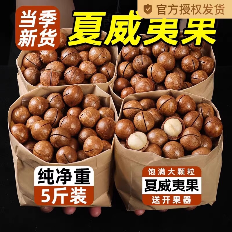 新货夏威夷果坚果批发罐装年货零食500g整箱干果散装炒货果仁产地