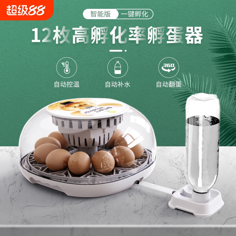 自动智能孵化器孵蛋器让孵化简单