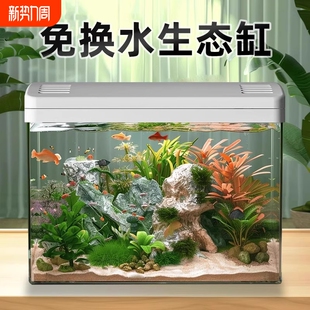鱼缸客厅家用2025新款 过滤制氧一体专业造景金鱼斗鱼小型生态缸