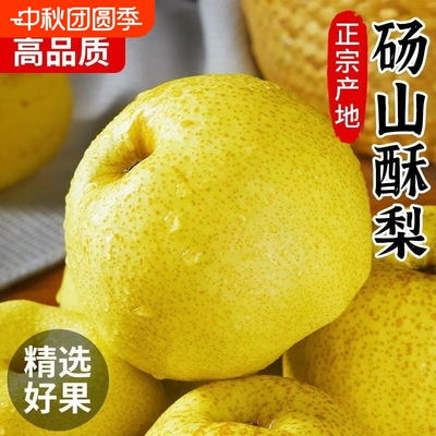 【新鲜发货】正宗砀山酥梨皮薄脆甜当季新鲜水果梨子贡梨雪梨整箱