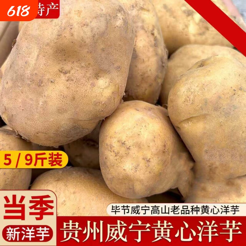 贵州毕节威宁黄心米拉洋芋高山特产老品种土豆新鲜黄皮粉糯马铃薯