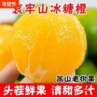云南哀牢山冰糖橙当季新鲜甜橙子特产水果榨汁专用夏橙果冻橙批发