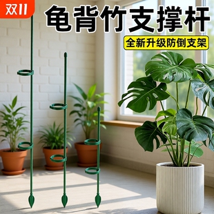 龟背竹防倒伏专用支撑杆金钱树蝴蝶兰植物花支架园艺绿植固定神器