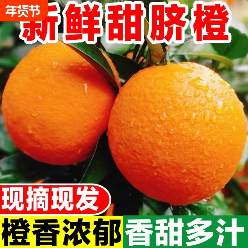 正宗脐橙新鲜水果橙子非赣州赣南当季大果批发现摘现发整箱年货节