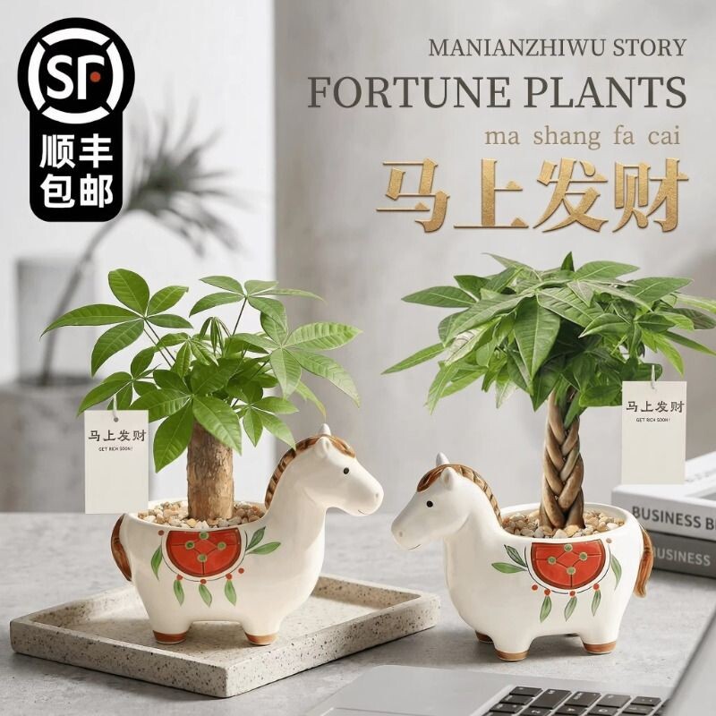 马上发财小马新款发财树小盆栽办公室桌面绿植招财植物马年伴手礼