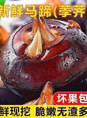 农家自种马蹄荸果荠新鲜现挖马蹄荸荠当季水果即食马蹄果5斤净重