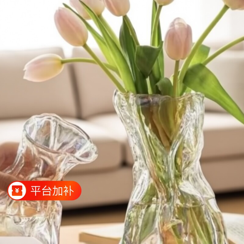 花瓶摆件客厅插花ins风玻璃水养水培鲜花高档高级感轻奢小众干花