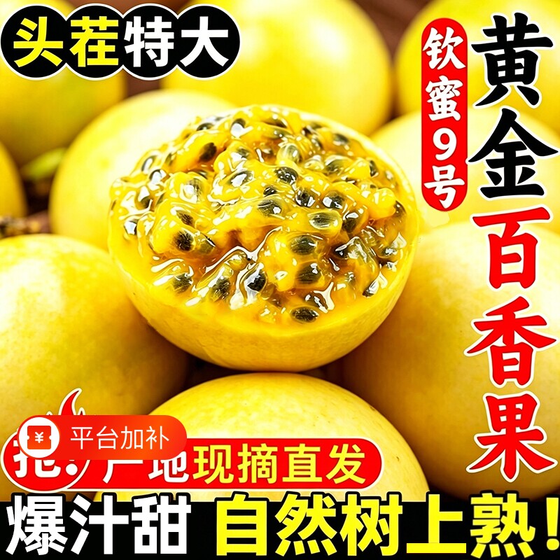 广西钦蜜9号黄金百香果新鲜水果时令当应季大果纯甜白香黄金果